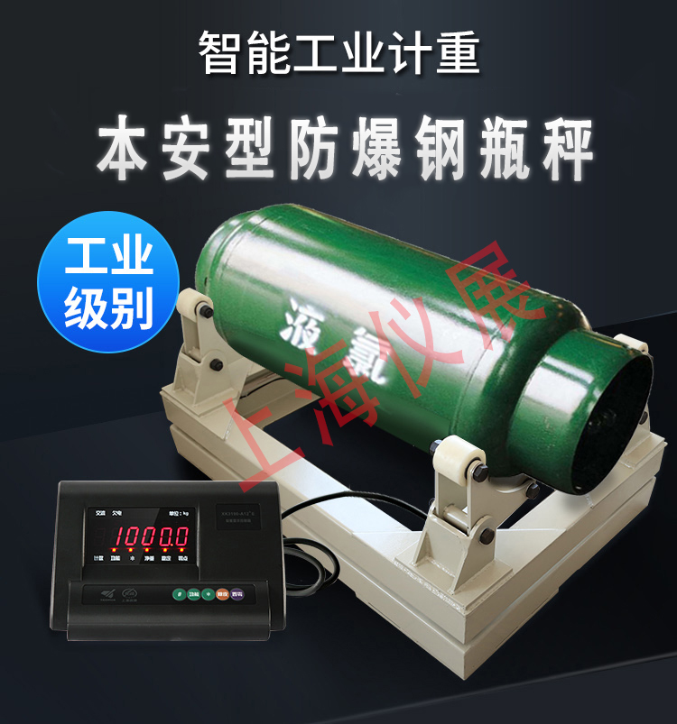 防爆型钢瓶电子秤