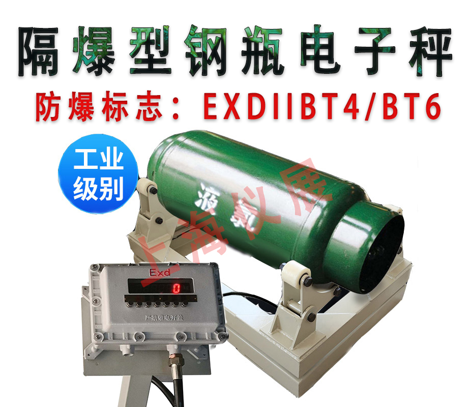 隔爆型钢瓶电子秤