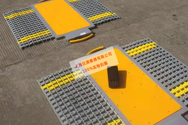 轴重仪 (134).jpg